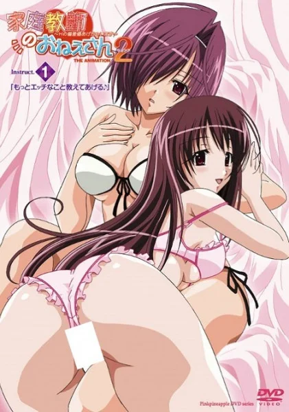 Kateikyoushi no Oneesan 2 The Animation: H no Hensachi Agechaimasu Poster
