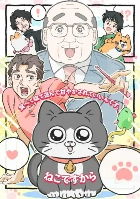 Neko ni Tensei shita Ojisan Poster